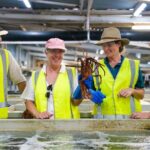 Behind-The-Scenes Ocean Harvest Tour - Who Will Enjoy This Tour?