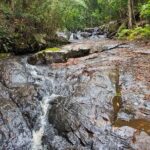 Bellthorpe Rainforest Private Tour - Real Experiences: What Past Travelers Say