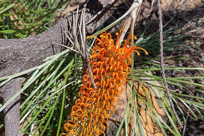 Berry Springs + Crocodile Cruise + Rooftop Sunset - What’s Included and What’s Not