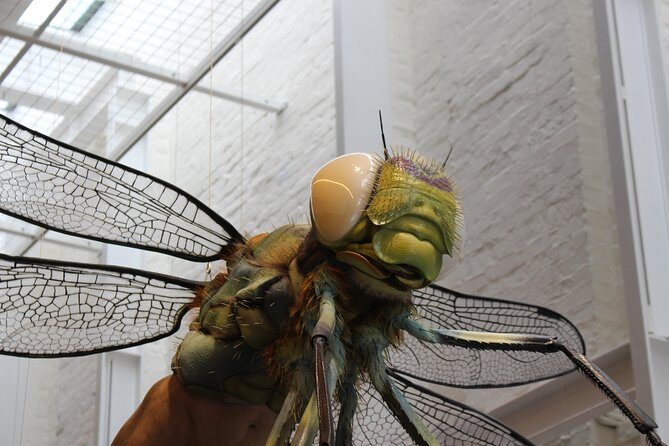 Bespoke Private Tour of Sydney - What’s Included and What’s Not