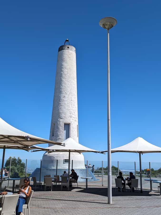 Best of Adelaide- City Highlights (Half-Day Tour) - The Itinerary: What to Expect