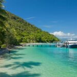 Best of Fitzroy Island Day Tour - What Travelers Think: The Pros and Cons