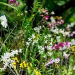 Best of Nadi Highlights - Cultural Insight at Viseisei Village