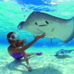 Best Way to Interact with Ocean Wildlife with Lunch. 6H - Who Will Love This Tour?