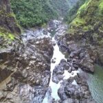 Beyond the Range - 30 minute Rainforest Scenic Flight - Why This Rainforest Scenic Flight Is Worth Considering