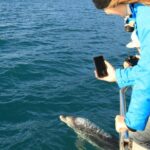 Bird Watching and Dolphin Eco-Tour to Blumine Island - The Value of the Experience