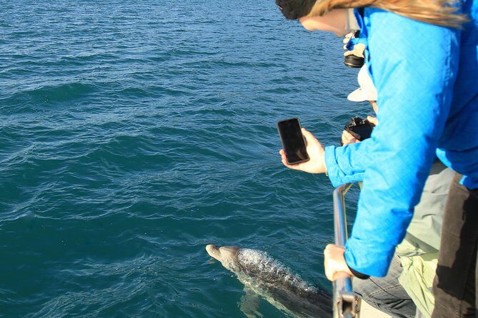 Bird Watching and Dolphin Eco-Tour to Blumine Island - The Value of the Experience