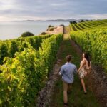 Blenheim Half day Wine Tour - The Chocolate Factory Finale