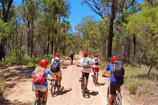 Blue Labyrinth PRIVATE Tour: Sydney Blue Mountains by E-Bike - Why You Should Consider It