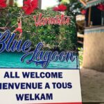 Blue Lagoon Express Bus - The Experience: What You Will Love