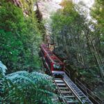 Blue Mountains Adventure: Scenic World, Zoo & Koala Photo - Scenic World: The Heart of the Adventure