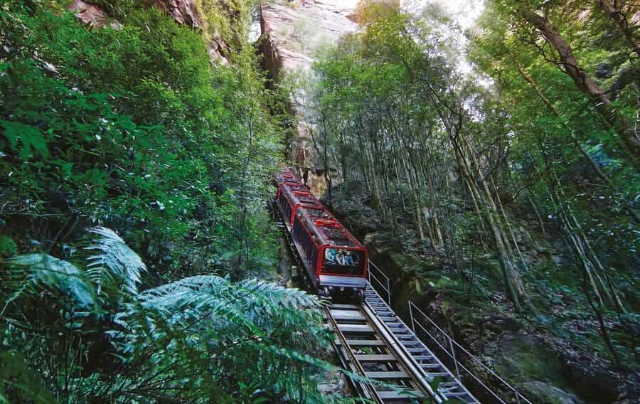 Blue Mountains Adventure: Scenic World, Zoo & Koala Photo - Scenic World: The Heart of the Adventure