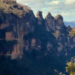 Blue Mountains and Australian Native Animals - Value and Practicalities: Is It Worth the Cost?
