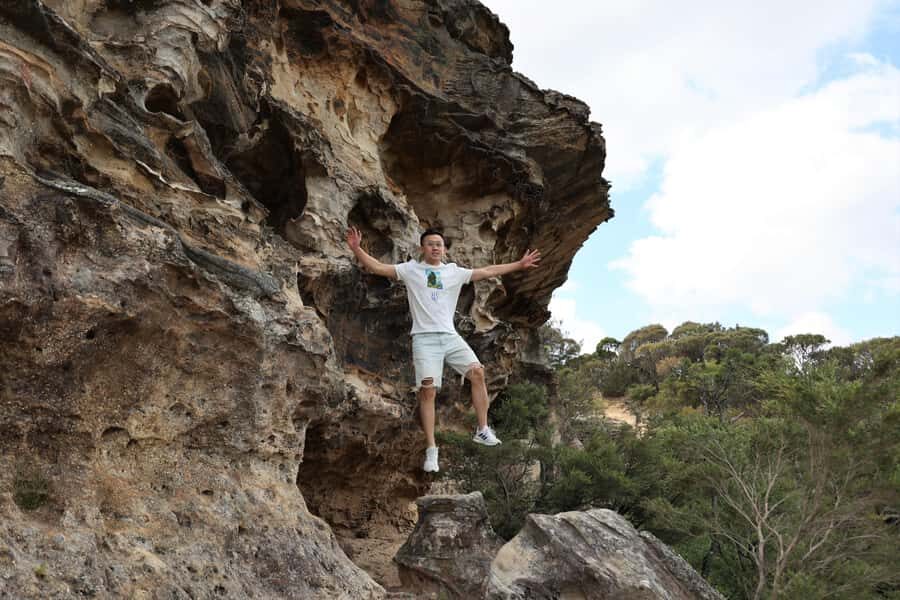 Blue Mountains: Bespoke Private Day Tour from Sydney - What Makes This Tour Stand Out?