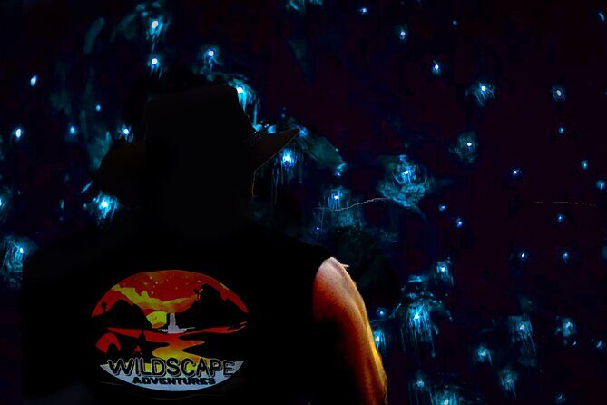 Blue Mountains Day, Sunset Tour & Glow Worms Night Adventure - Scenic Waterfalls and Lookouts at Glenbrook