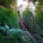 Blue Mountains day tour with Cruise, Scenic world pass & Zoo - What You Need to Know
