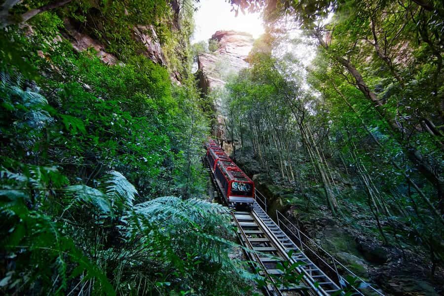 Blue Mountains day tour with Cruise, Scenic world pass & Zoo - What You Need to Know