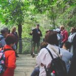 Blue Mountains Day Tour with Wildlife, Walks and Scenic World - The Value and Practicalities