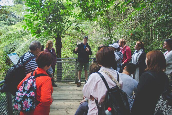 Blue Mountains Day Tour with Wildlife, Walks and Scenic World - The Value and Practicalities