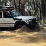 Blue Mountains Full Day Guided Tour - Who Should Book This Tour?