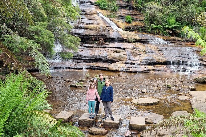 Blue Mountains | Koalas, Kangaroos & Bondi Beach Private Tour - Why This Tour Offers Good Value
