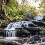 Blue Mountains Luxury Tour from Sydney - What’s Included and What’s Extra?