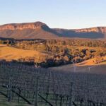 Blue Mountains: Megalong Valley Wine Tasting & Lunch - The Sum Up