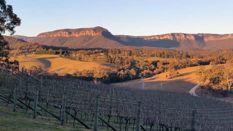Blue Mountains: Megalong Valley Wine Tasting & Lunch - The Sum Up
