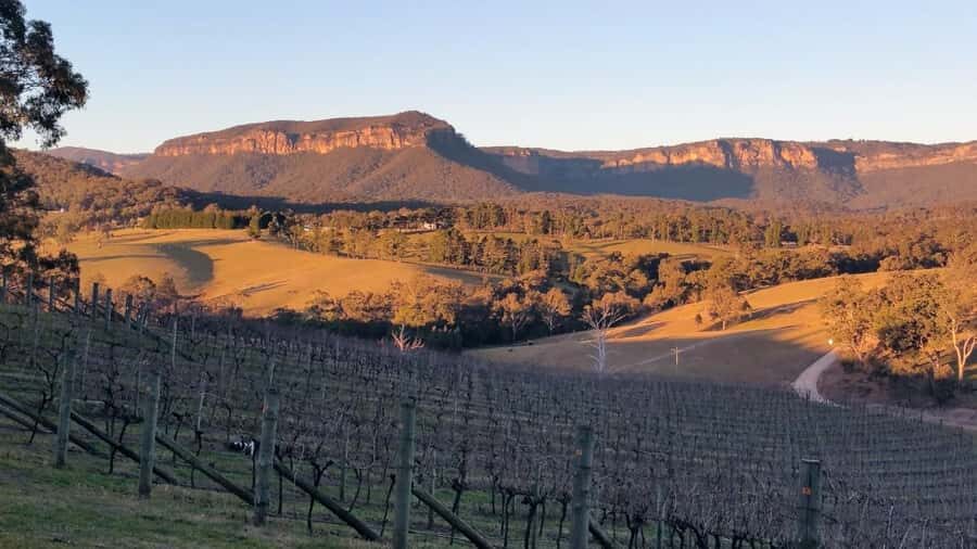 Blue Mountains: Megalong Valley Wine Tasting & Lunch - The Sum Up