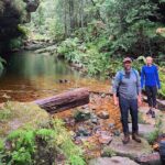 Blue Mountains Private Hiking Tour from Sydney - What Sets This Tour Apart?
