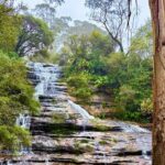 Blue Mountains Private Sightseeing Day Tours from Sydney - Who Is This Tour Best Suited For?