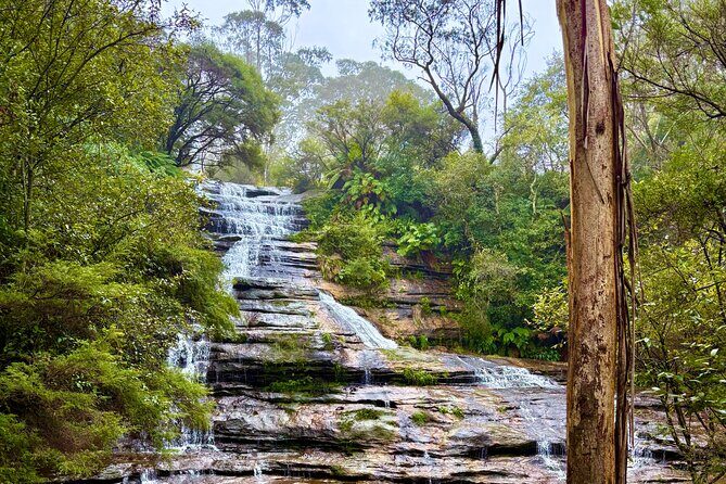 Blue Mountains Private Sightseeing Day Tours from Sydney - Who Is This Tour Best Suited For?