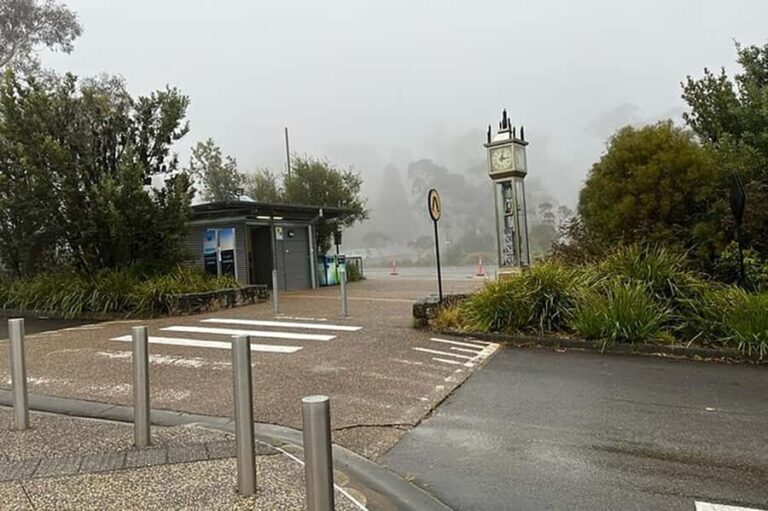 Blue Mountains: Private Tour with Wildlife and River Cruise - Who Should Consider This Tour?