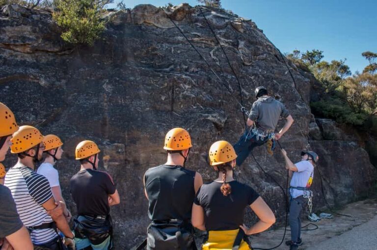 Blue Mountains: Spectacular Half Day Abseiling Adventure - Authentic Feedback and Insights