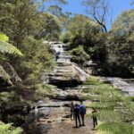 Blue Mountains Tour, Katoomba Falls & Cockatoos Small Group - Exploring the Itinerary in Detail