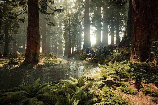 Blue Springs, Redwood Forest, Huka Falls Private tour - The Experience and the Guide