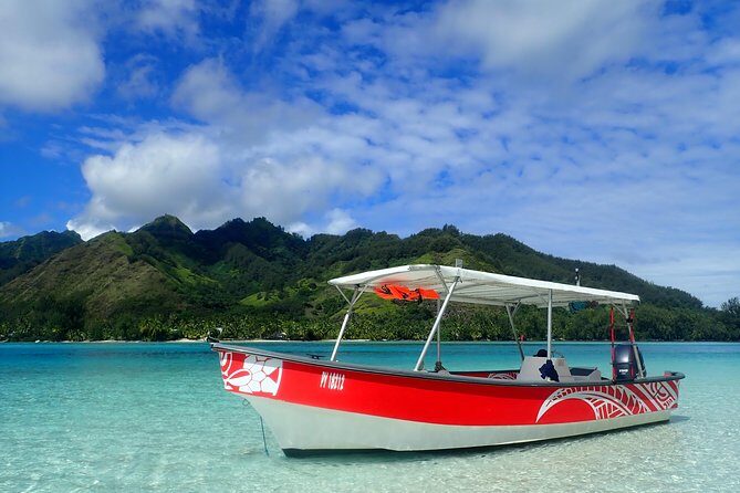 Boat tour 1/2 day Excursion in the lagoon of Moorea - Who Is This Tour Best For?