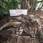 Bombing of Darwin World War II Tour with Harbour Cruise - The Itinerary in Detail