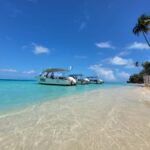 Bora Bora: 1 afternoon dive for certified divers - An Authentic Look at the Bora Bora Afternoon Dive