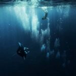 Bora Bora: 3.5-Hour Lagoon Boat Tour with Snorkeling - Who Will Love This Tour?