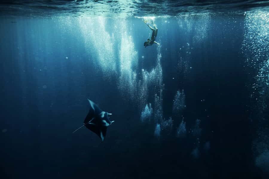 Bora Bora: 3.5-Hour Lagoon Boat Tour with Snorkeling - Who Will Love This Tour?