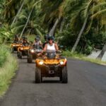 Bora Bora: Combo ATV & Jet Ski Day Trip with Polynesian BBQ - Practical Considerations for Travelers