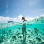 Bora Bora: Eco Shark and Snorkeling Safari - Who Will Love This Tour?