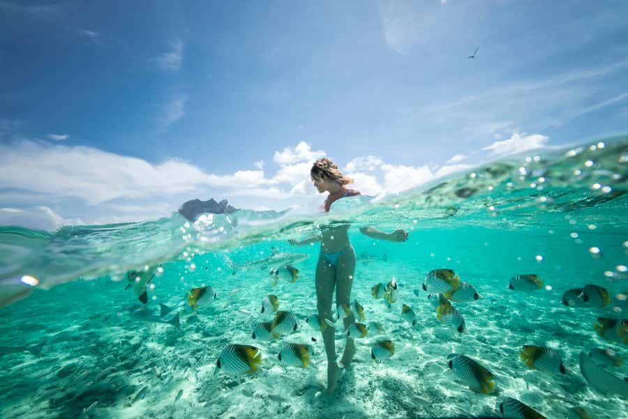 Bora Bora: Eco Shark and Snorkeling Safari - Who Will Love This Tour?