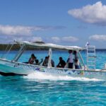 Bora Bora Eco Snorkel Cruise Including Snorkeling with Sharks and Stingrays - Analyzing the Value
