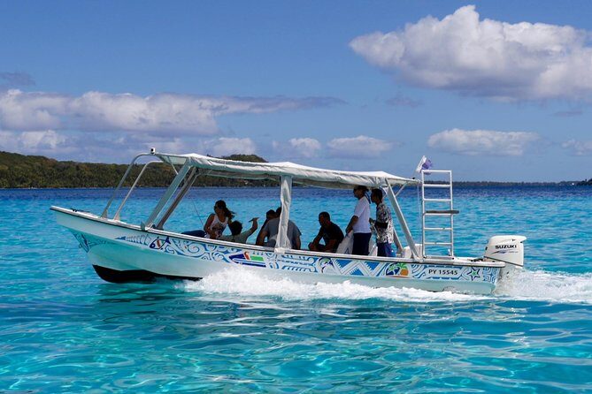 Bora Bora Eco Snorkel Cruise Including Snorkeling with Sharks and Stingrays - Analyzing the Value
