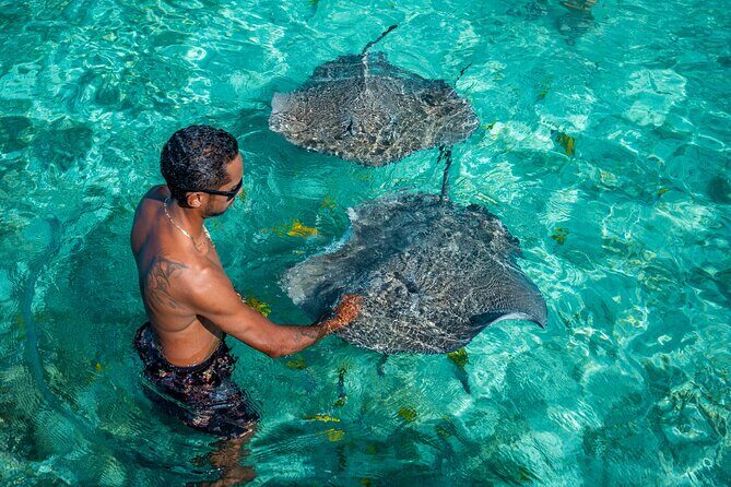 Bora Bora Full Day Snorkeling with Lunch - FAQ