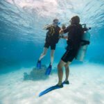 Bora Bora: Introductory Dive - What to Expect from the Tour