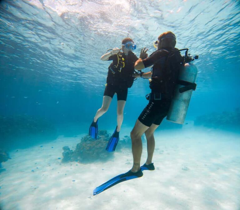 Bora Bora: Introductory Dive - What to Expect from the Tour