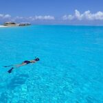 Bora Bora Lagoon Snorkeling Tour by Private Boat - What to Expect on This Bora Bora Snorkeling Tour